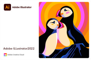 Adobe Illustrator 2022