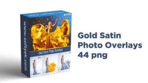 Gold Satin Photo Overlays
