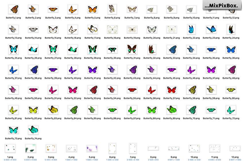 86 PNG Butterflies Photo Overlays free download