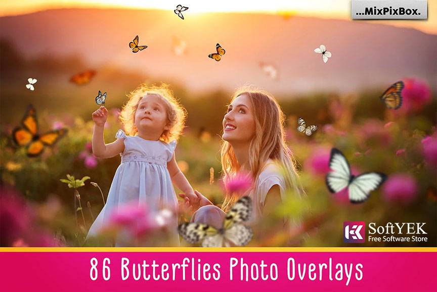 86 PNG Butterflies Photo Overlays free download