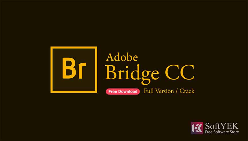 Adobe Bridge CC Free Download